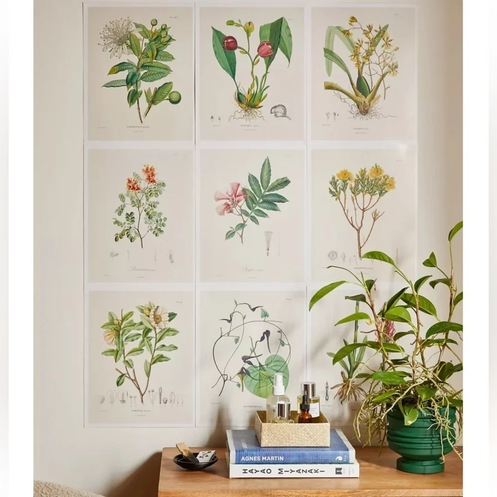 NWT Urban Outfitters Alexander von Humboldt Botanical Illustrations 22 Posters